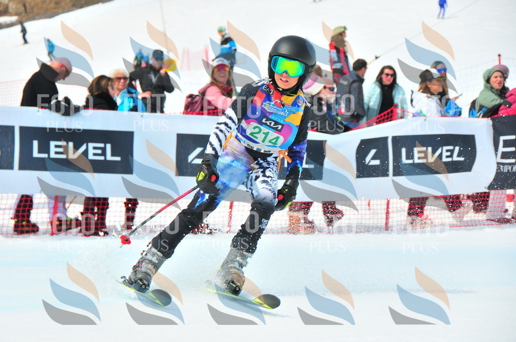 DSC_1974 | holidayphoto