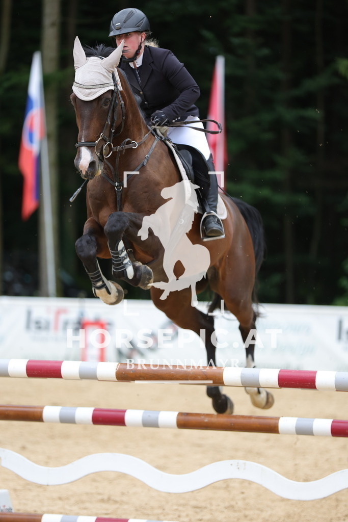 0P6A2250 | Willkommen bei Brunnmayr - Design & Fotografie – Ihrem Spezialisten für Reitturniere und Pferdeveranstaltungen in Oberösterreich, Salzburg und Bayern! Seit über 17 Jahren sind wir leidenschaftlich dabei.