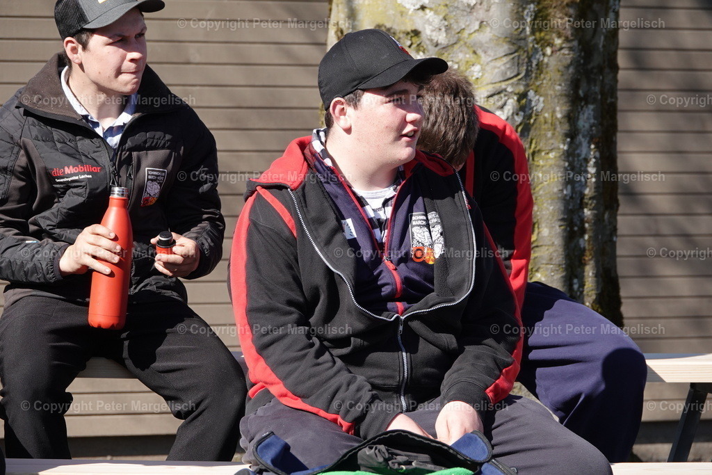 DSC02263 | Schwingen - Realisiert mit Pictrs.com