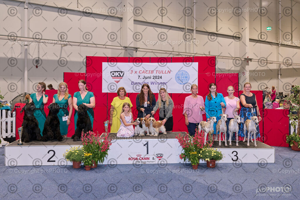 202406_ÖKV-IHA-Tulln24_NZ9_7796 | proPHOTO - Realisiert mit Pictrs.com