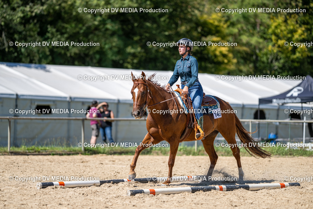 LM Heiligenwald Tag 1-1381 | dv-media-shop - Realisiert mit Pictrs.com