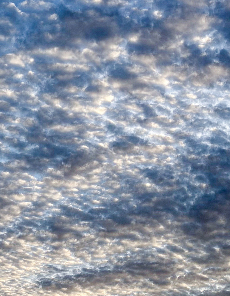 Wandbild Abstrakter blauer Wolkenhimmel - Pareidolie Fotokunst | Dieses faszinierende Natur-Wandbild zeigt einen tiefblauen Himmel mit einzigartigen, abstrakten Wolkenformationen in meisterhafter Schärfe. Die detailreiche Makrostruktur der Wolken lädt den Betrachter auf den zweiten Blick ein, eigene Formen, Gesichter oder Landschaften in den Wolkengebilden zu entdecken (Pareidolie). Fotograf Robert Steinke fängt diese beruhigende, meditative Struktur und das edle Zusammenspiel aus purem Weiß und tiefem Himmelsblau in gestochen scharfer Premium-Qualität ein. Ein wunderschöner Blickfang für minimalistische Schlafzimmer, moderne Wohnräume oder ein stilvolles Büro, das eine harmonische und weite Atmosphäre versprühen soll. Erhältlich als hochwertiger Premium-Kunstdruck auf Leinwand, edlem Alu-Dibond oder unter brillantem Acrylglas für maximale Tiefenwirkung. - Realisiert mit Pictrs.com