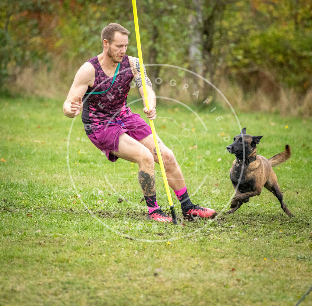 Pfotenfotografie_DV3A0804 | Hundefotografie, Tierfotograf, Pfotenfotografie, Fotoshooting Hund, Hunde Portrait, Hundesport, Hundeportraits, Heideshooting, Hunde, Sportfotograf, Hundefotograf, Turnierhundsport, THS,  - Realisiert mit Pictrs.com