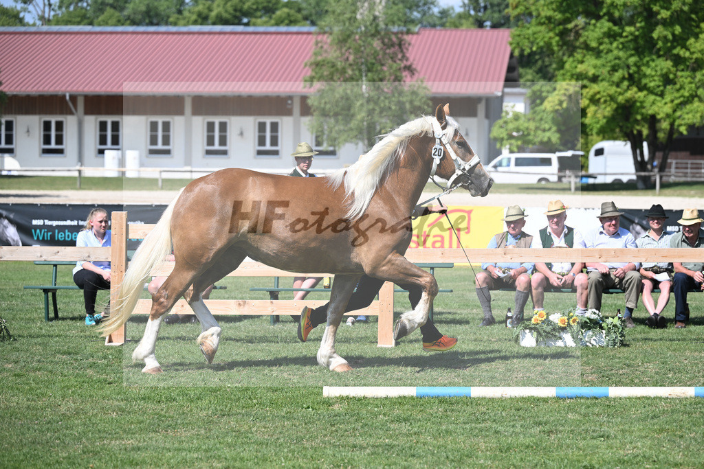 Kat-Nr. 20 Hanna N_Neumayr_20230303 | hf-fotografie - Realisiert mit Pictrs.com