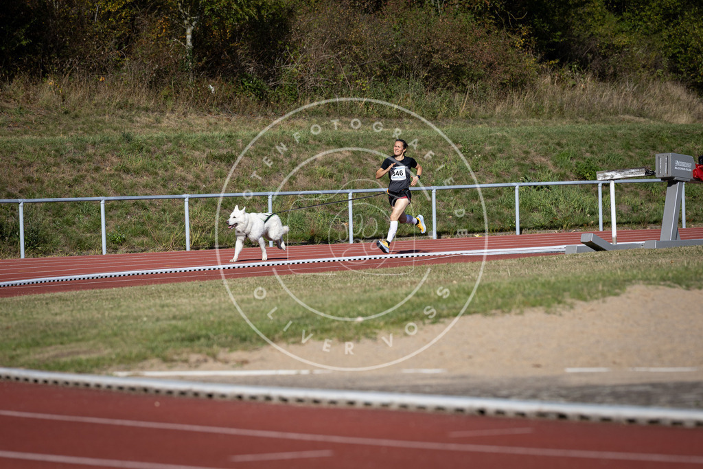 Pfotenfotografie_DV3A8927 | Hundefotografie, Tierfotograf, Pfotenfotografie, Fotoshooting Hund, Hunde Portrait, Hundesport, Hundeportraits, Heideshooting, Hunde, Sportfotograf, Hundefotograf, Turnierhundsport, THS,  - Realisiert mit Pictrs.com