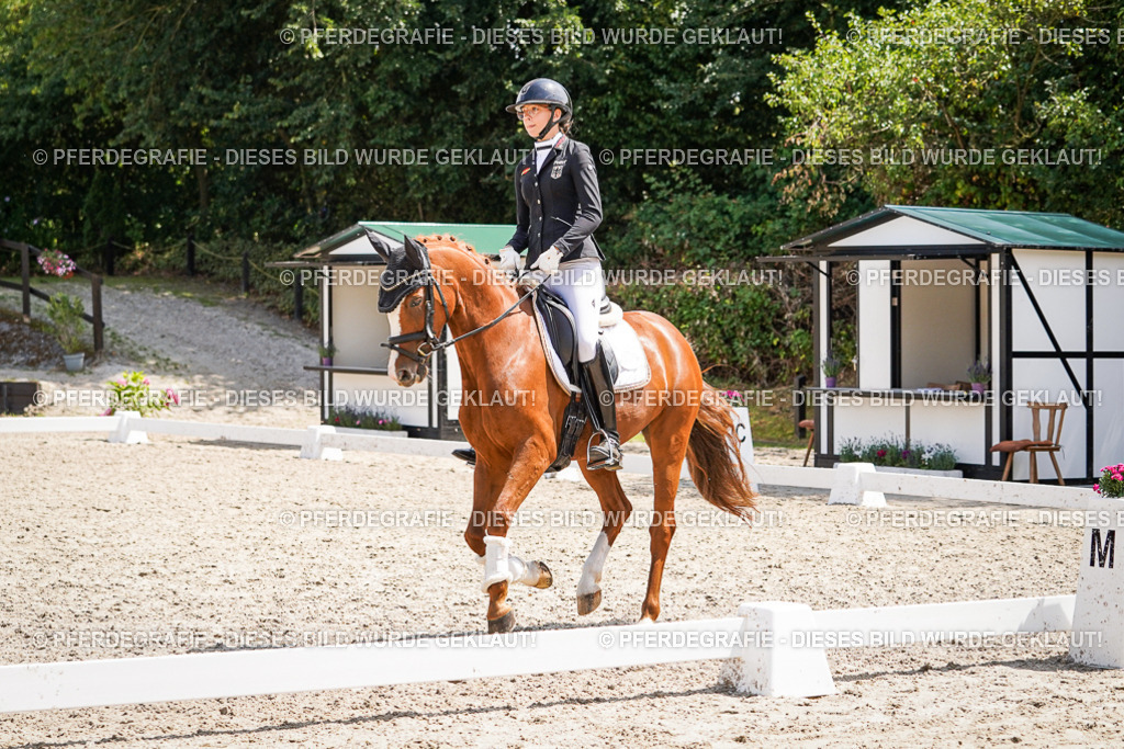 DSC01856 | Pferdegrafie