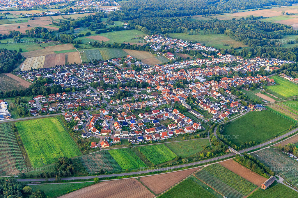 Luftbild: Ortsansicht aus Norden in Hanhofen im Bundesland Rheinland-Pfalz in Deutschland. Foto: IMG_116564.jpg vom 11.08.2019 durch Werner Riehm/FLY-FOTO.de