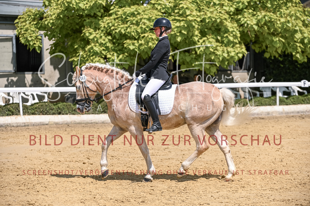 Schugtsche-Aluta25-53.Amat.Dressurprf.A2-395 | Schugtsche Fotografie - Realisiert mit Pictrs.com