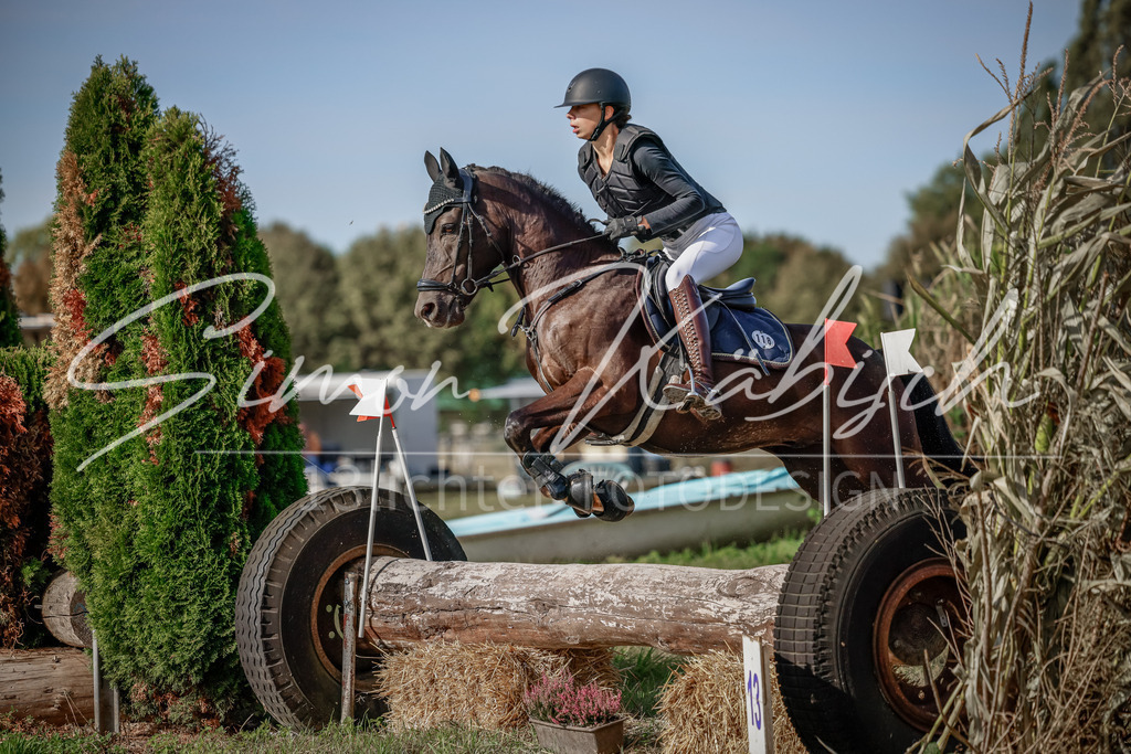 20250907-_3LI9138 | Tierfotografie Pferde, Hunde, Katzen, Haustiere.
Turnierfotografie Reitturniere, Reiten, Springreiten, Dressur in Hanau, dem Main-Kinzig-Kreis und dem Rhein-Main- Gebiet um Frankfurt