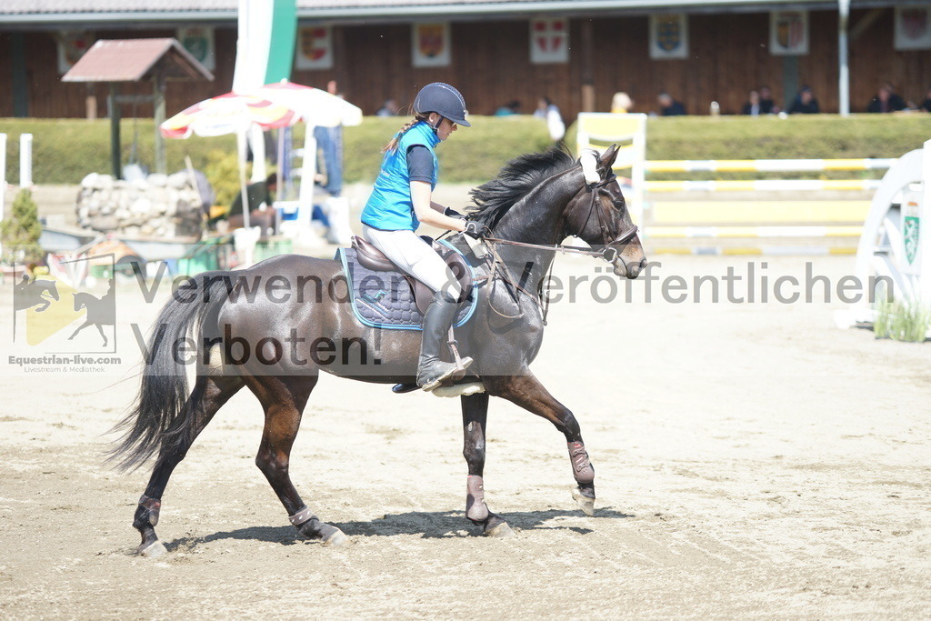 DSC02913 | equestrian-live-com