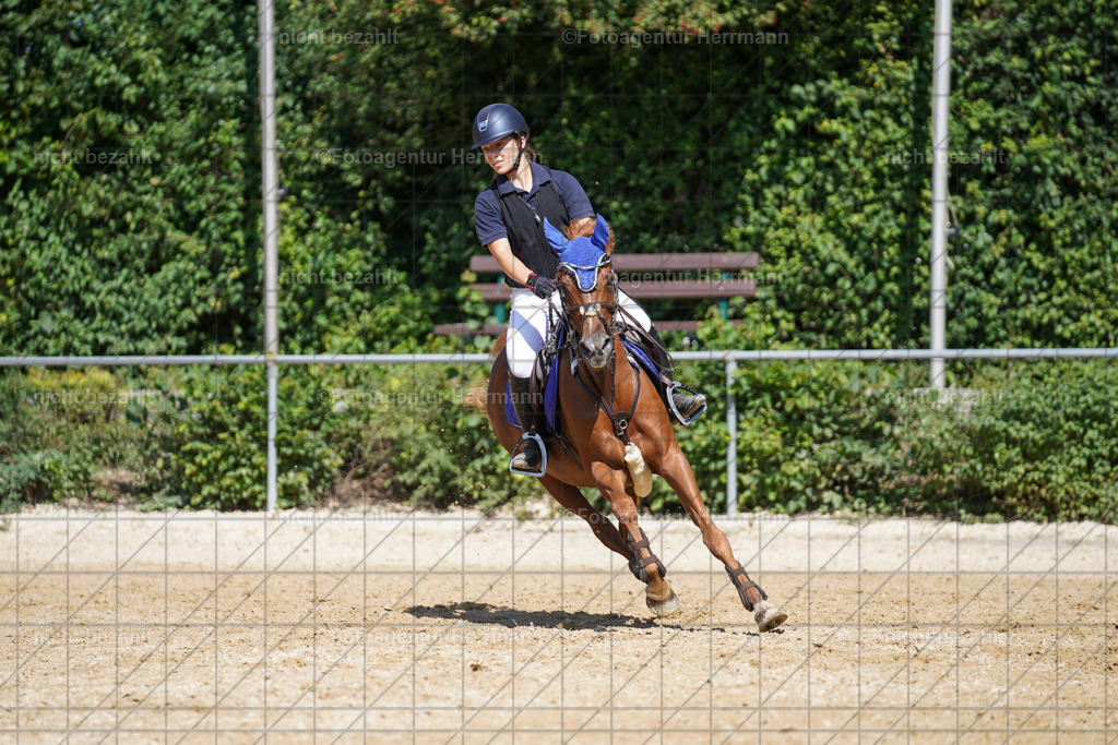 20240824-FAH08256 | Thierhaupten 2024, Bayerisches Landesponyturnier, Turnierbilder, Ponybilder, Turnierfotografen Bayern, Fotoagentur Herrmann