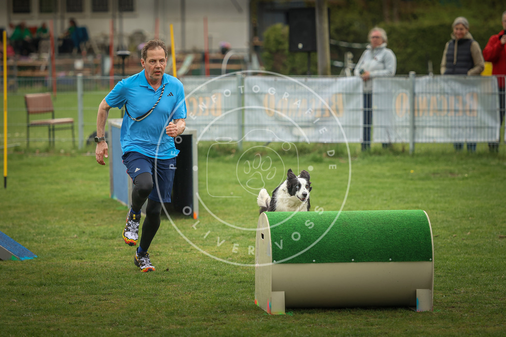 Pfotenfotografie_0L8A1179 | Hundefotografie, Tierfotograf, Pfotenfotografie, Fotoshooting Hund, Hunde Portrait, Hundesport, Hundeportraits, Heideshooting, Hunde, Sportfotograf, Hundefotograf, Turnierhundsport, THS,  - Realisiert mit Pictrs.com