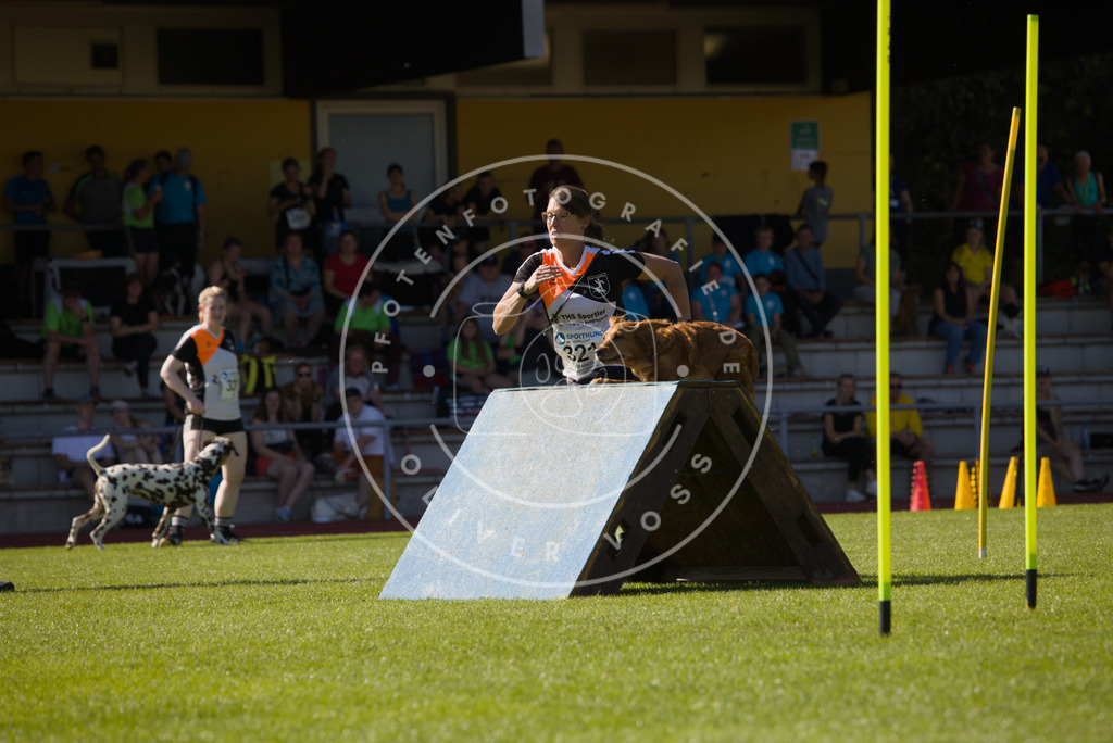 0L8A7870 | Hundefotografie, Tierfotograf, Pfotenfotografie, Fotoshooting Hund, Hunde Portrait, Hundesport, Hundeportraits, Heideshooting, Hunde, Sportfotograf, Hundefotograf, Turnierhundsport, THS,  - Realisiert mit Pictrs.com