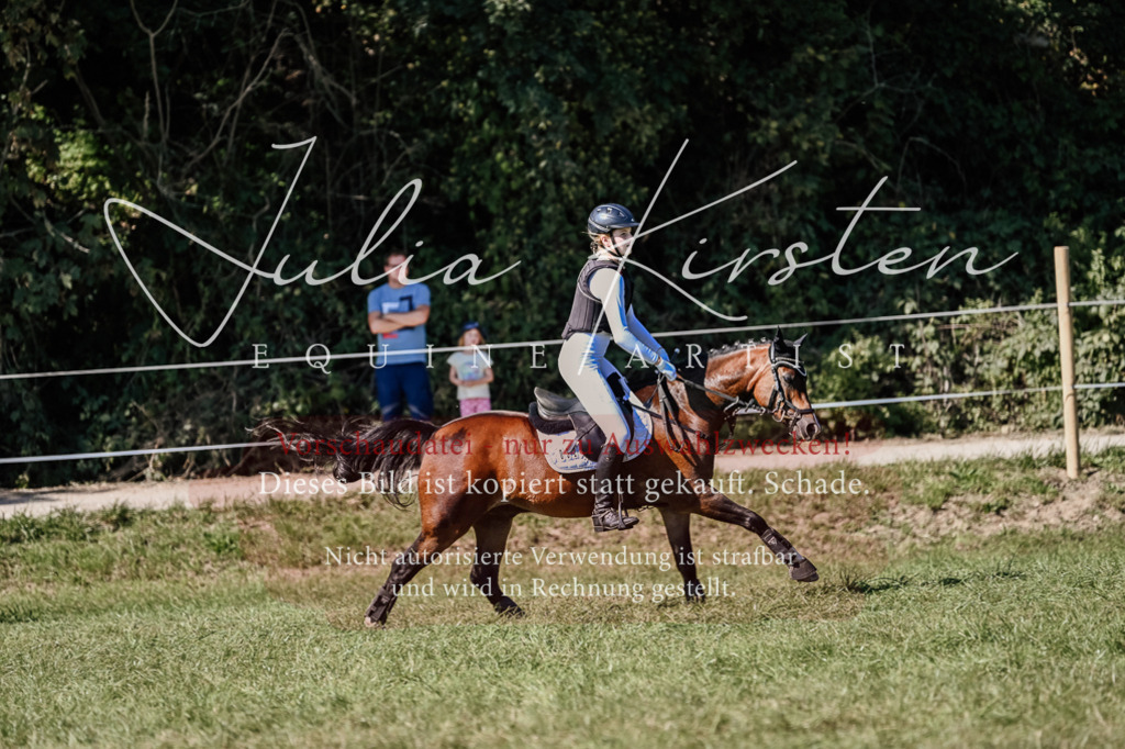 DSC_2938 | Pferde- und Turnierfotografie in Westsachsen. Pferdeportraits, Auftragszeichnungen und intuitive Kunst.
