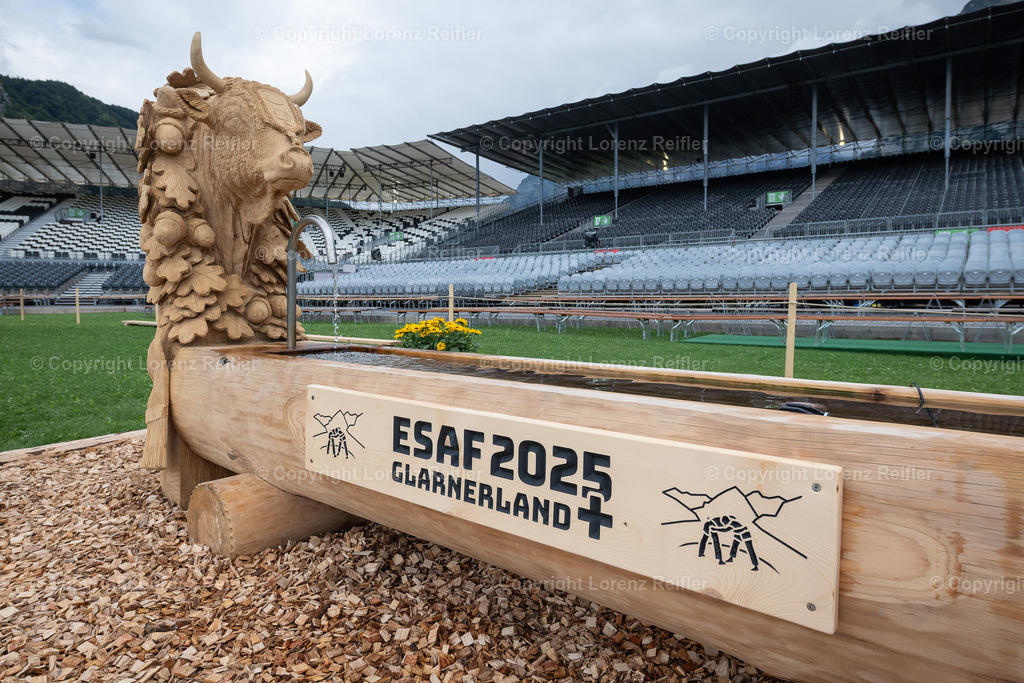 Schwingen -  ESAF Freitag Festumzug 2025 | Mollis, 29.8.25, Schwingen - ESAF Freitag Festplatz Brunnen.