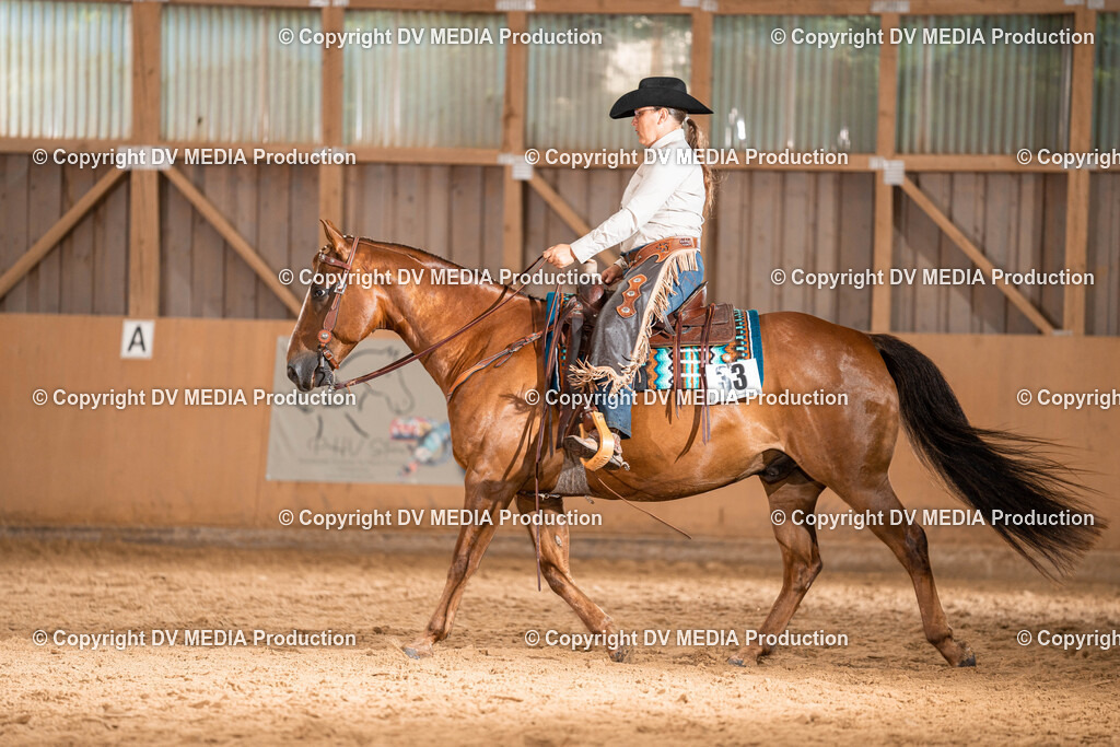 Losheim Tag 1-158 | dv-media-shop - Realisiert mit Pictrs.com