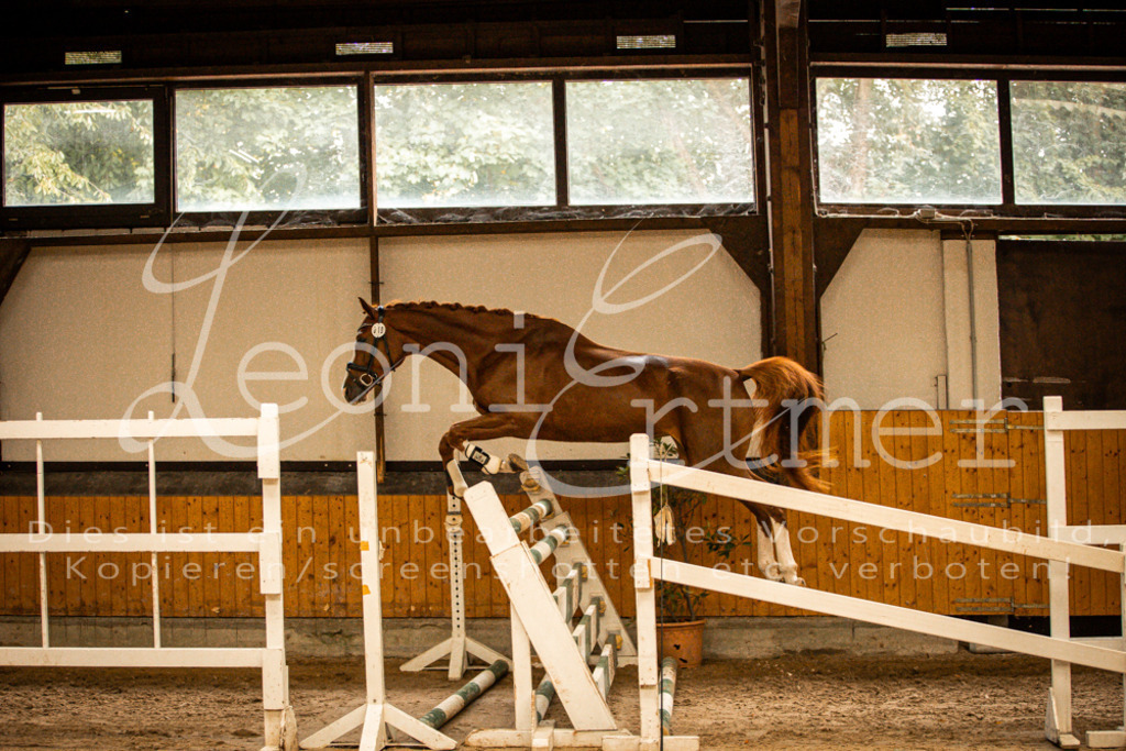 2FS_L00094 | Leoni Ertmer Photography - Realisiert mit Pictrs.com