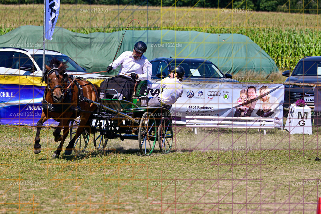 30 Jahre RFV Pulsnitz e.V., Pulsnitz am 09.08.2026 | Zur 28. breitensportlichen Veranstaltung des RFV Pulsnitz e.V. fanden verschiedene Wettbewerbe in nahezu allen Disziplinen des Pferdesport statt. - 18 Kegel-Fahr-Wettbewerb - Realisiert mit Pictrs.com