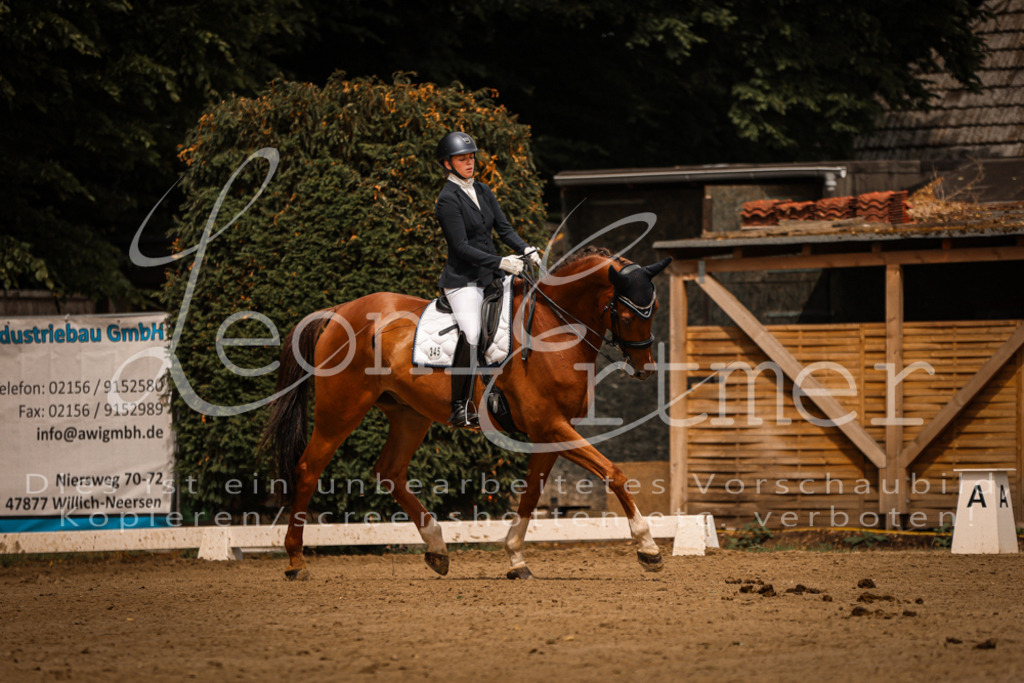 18.SoDrLK00292 | Leoni Ertmer Photography - Realisiert mit Pictrs.com