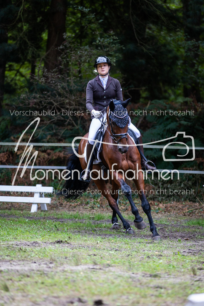 HB-A-Dressur-187 | MomenTaufnahmen Pferdesportfotos