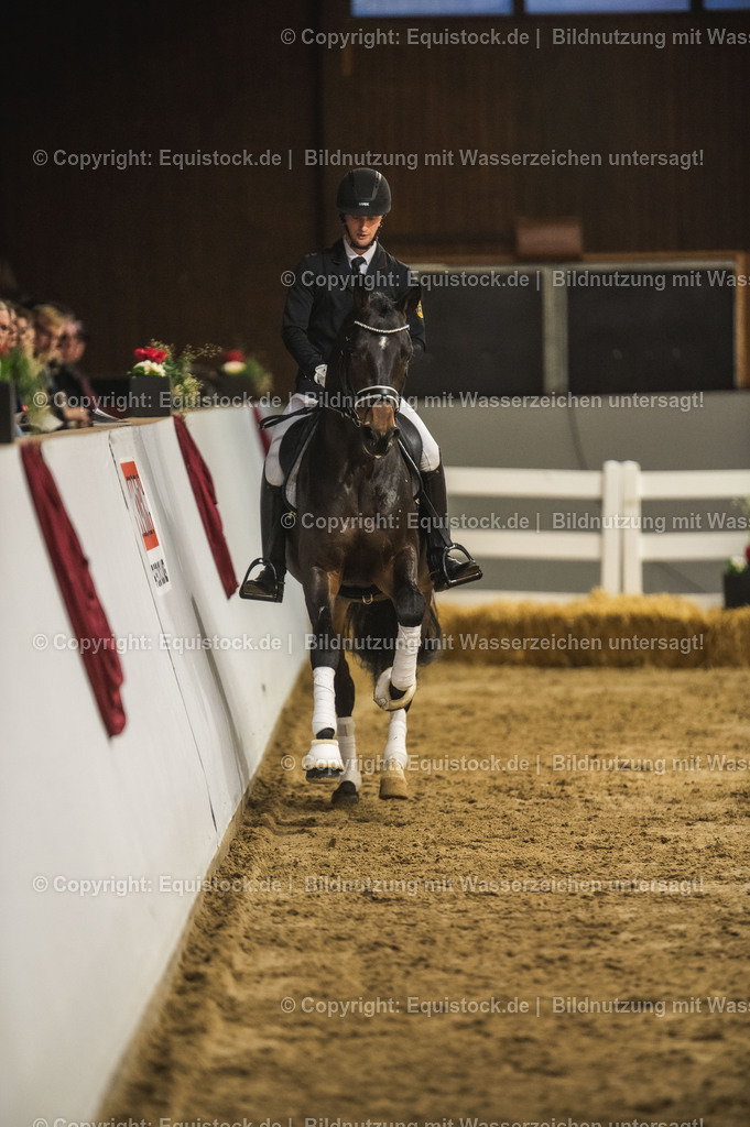20240302_Hengstvorstellung_Marbach_TOMsPiC_0407 | equistock