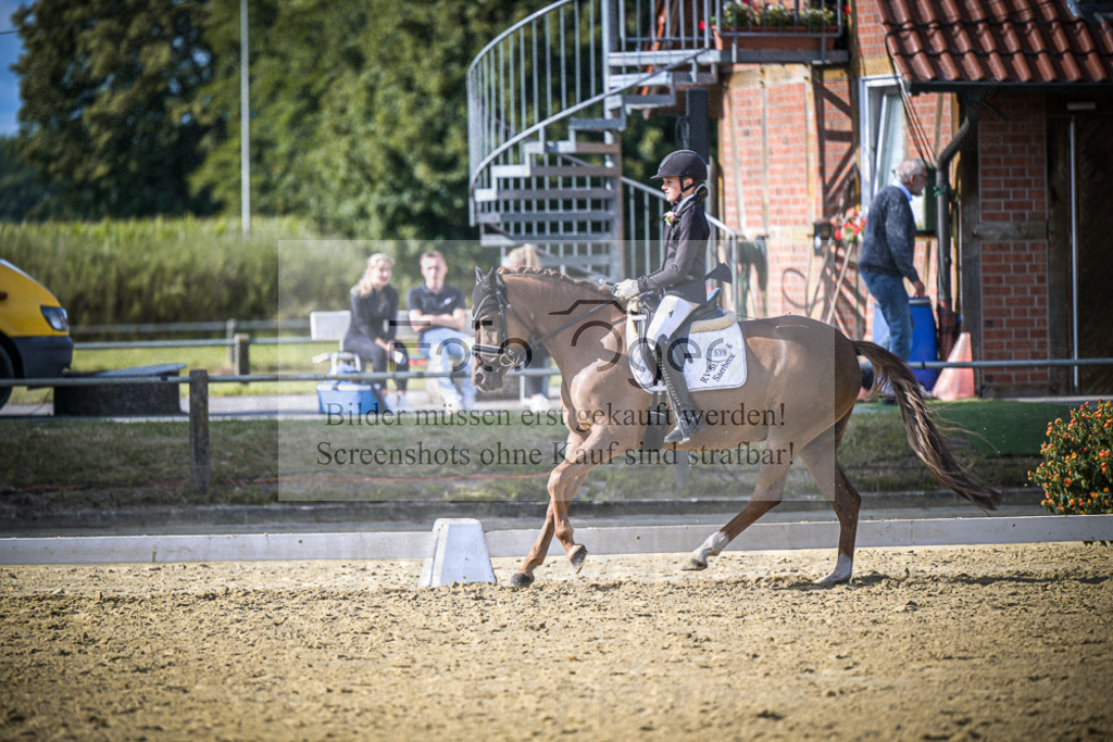 DOS_0464 | Entdecke hochwertige Reitturnierfotos von Foto Oger. Professionell, emotional und authentisch – jetzt Lieblingsmomente im Shop bestellen.Deutschlandweite Turnierfotografie. - Realisiert mit Pictrs.com