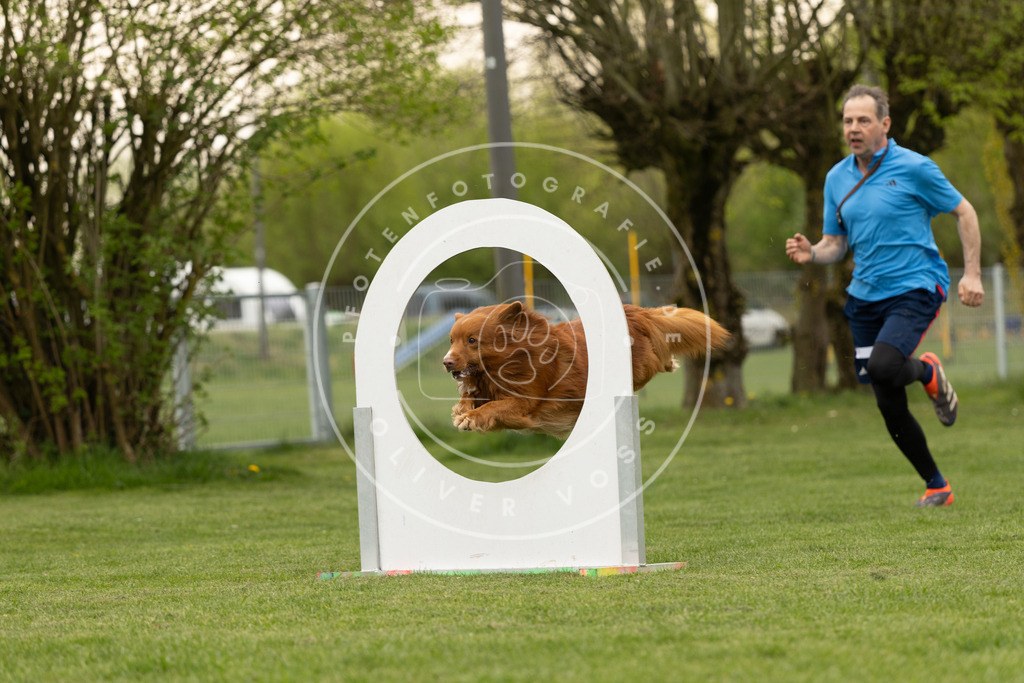 Pfotenfotografie_DV3A8873 | Hundefotografie, Tierfotograf, Pfotenfotografie, Fotoshooting Hund, Hunde Portrait, Hundesport, Hundeportraits, Heideshooting, Hunde, Sportfotograf, Hundefotograf, Turnierhundsport, THS,  - Realisiert mit Pictrs.com
