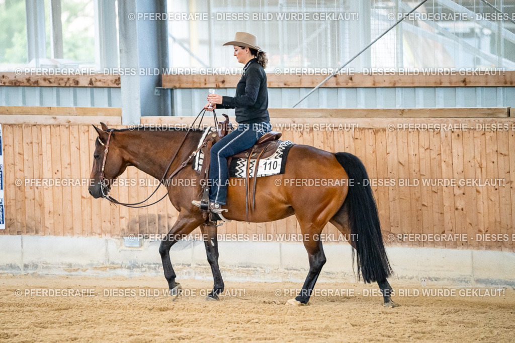 DSC08979 | Pferdegrafie