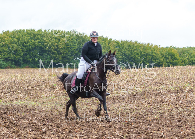 Jagd Kletkamp 26-03082_MarinaHewig | Fotografie, FotoArt, PferdesportArt, Pferdesportfotografie, Landschaftsfotografie, Reisefotografie, Reise, Pferde - Realisiert mit Pictrs.com
