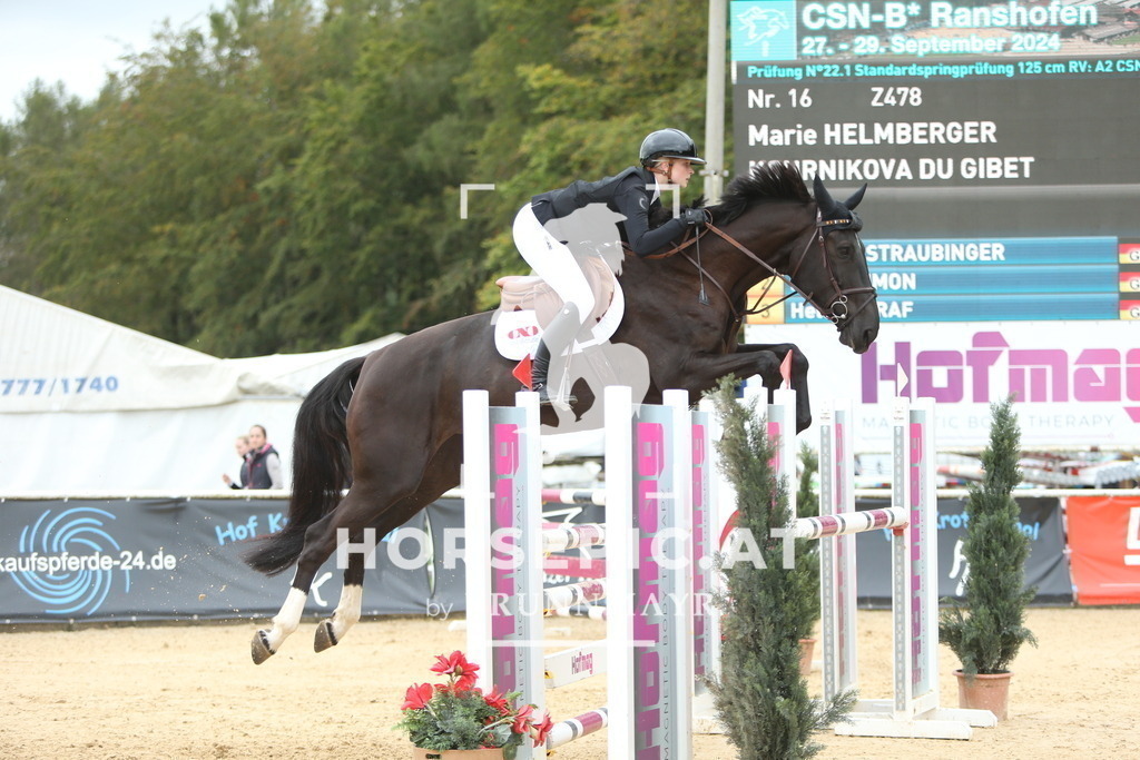 DL2Q4934 | Willkommen bei Brunnmayr - Design & Fotografie – Ihrem Spezialisten für Reitturniere und Pferdeveranstaltungen in Oberösterreich, Salzburg und Bayern! Seit über 17 Jahren sind wir leidenschaftlich dabei.