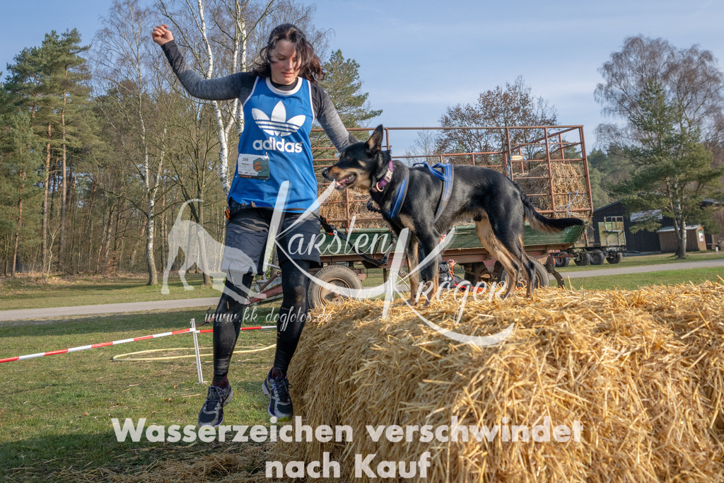 _ZZ91701 | kk-dogfotos