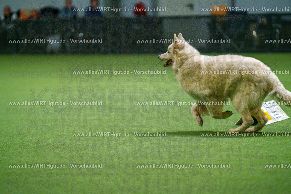 7R500185 | Professionelle Tierfotografie in Mönchengladbach von Daniel Wirth (allesWIRTHgut). Liebevolle & natürliche Bilder von Hunden & Katzen für unvergessliche Erinnerungen.