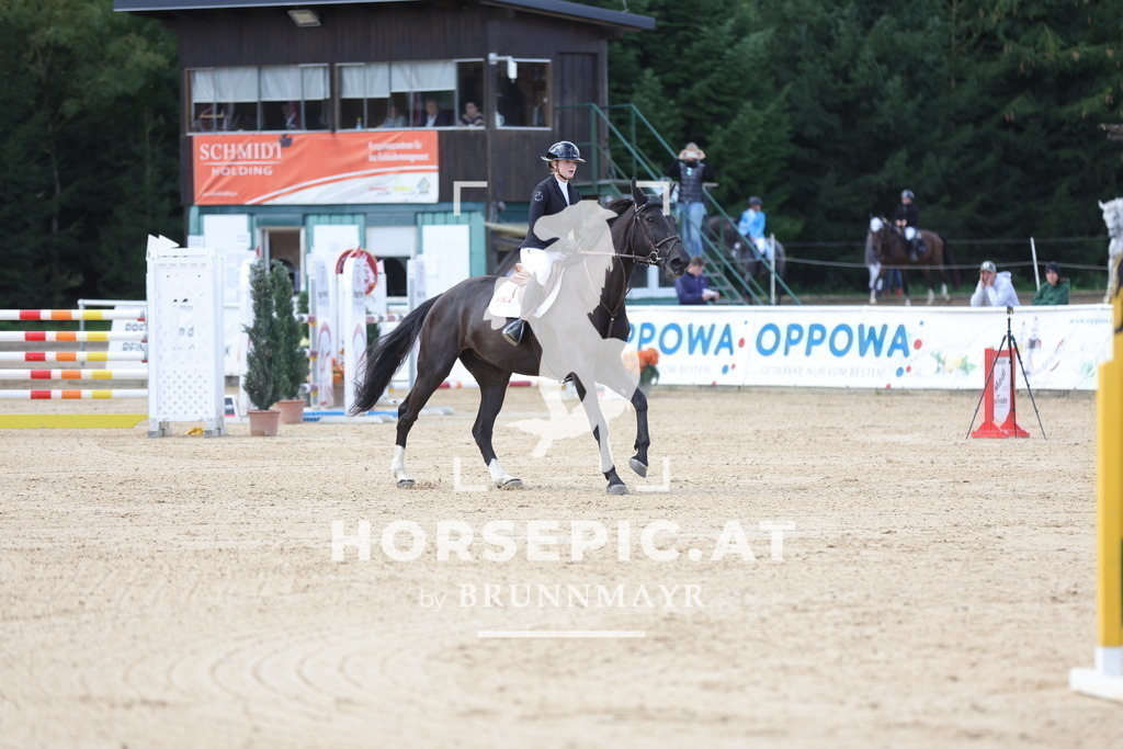 0P6A0697 | Willkommen bei Brunnmayr - Design & Fotografie – Ihrem Spezialisten für Reitturniere und Pferdeveranstaltungen in Oberösterreich, Salzburg und Bayern! Seit über 17 Jahren sind wir leidenschaftlich dabei.