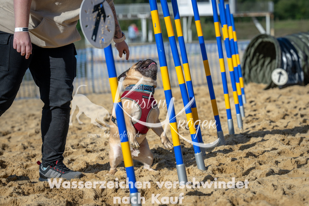 1114_ZZ90737 | kk-dogfotos