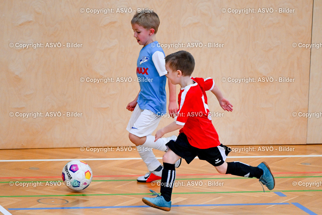 ASVÖ_ Fussball Nachwuchs Hallenturnier 2026_ SV Gallneukirchen_ 28.02.2026-289 | 28.02.2026, Gallneukirchen, AUT, ASVÖ, Fussball Nachwuchs Hallenturnier 2026, SV Gallneukirchen im Bild Teilnehmer U7©Harald Dostal / fodo.media - Realisiert mit Pictrs.com