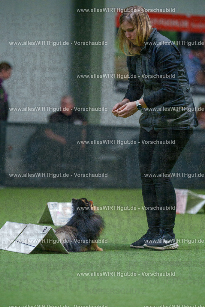 7R503487 | Professionelle Tierfotografie in Mönchengladbach von Daniel Wirth (allesWIRTHgut). Liebevolle & natürliche Bilder von Hunden & Katzen für unvergessliche Erinnerungen.