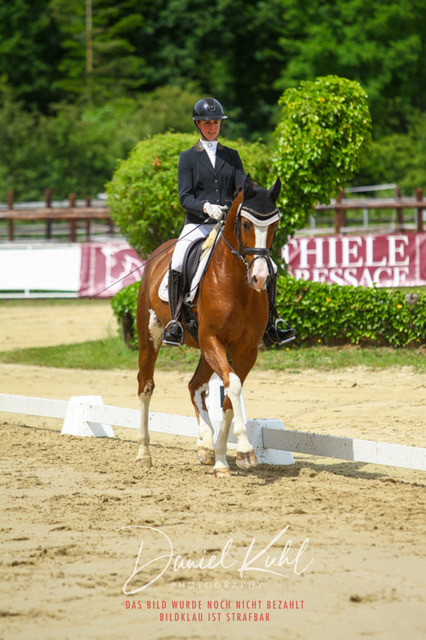 DKP46293 | Turniersportfotografie; Pferdefotografie; Dressurfotografie