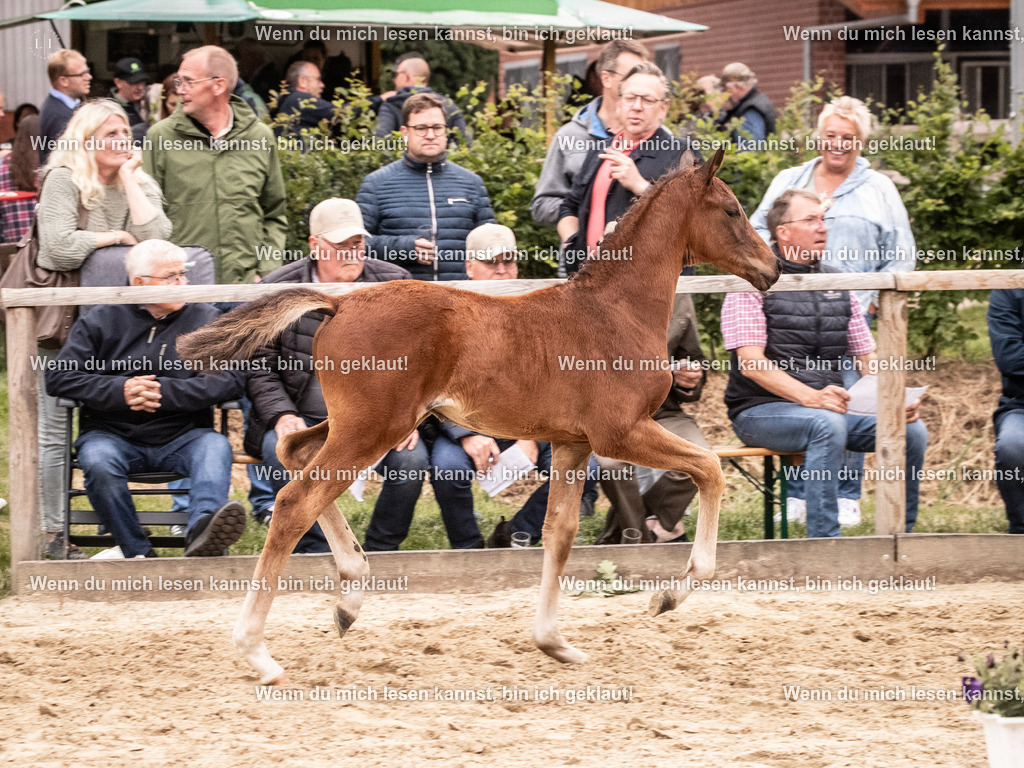 A10I6119 | photographylinaismer - Realisiert mit Pictrs.com