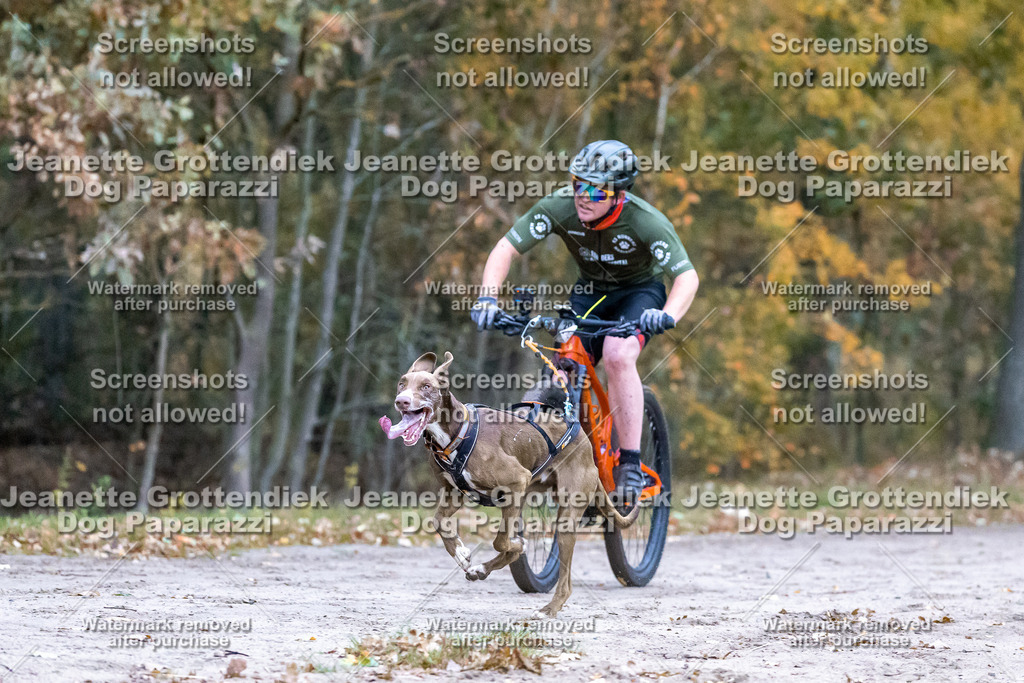 Dog Paparazzi - SD CaniX Championship 2025-33 | Dog Paparazzi Jeanette Grottendiek Fotografie & Videografie - Realisiert mit Pictrs.com