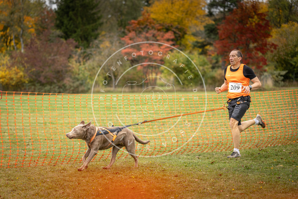 Pfotenfotografie_DV3A4005 | Hundefotografie, Tierfotograf, Pfotenfotografie, Fotoshooting Hund, Hunde Portrait, Hundesport, Hundeportraits, Heideshooting, Hunde, Sportfotograf, Hundefotograf, Turnierhundsport, THS,  - Realisiert mit Pictrs.com