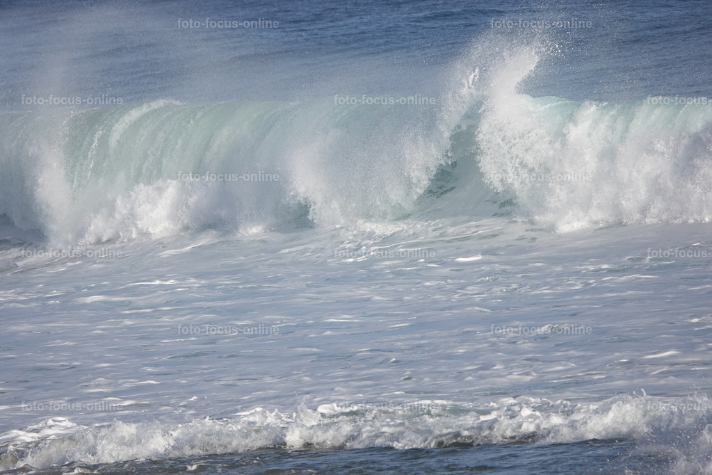 Wild Waves | Wild Waves Atlantic