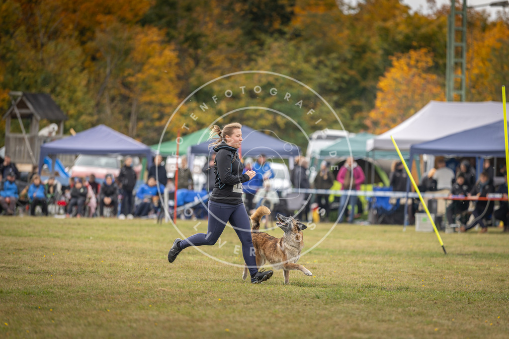 Pfotenfotografie_DV3A6906 | Hundefotografie, Tierfotograf, Pfotenfotografie, Fotoshooting Hund, Hunde Portrait, Hundesport, Hundeportraits, Heideshooting, Hunde, Sportfotograf, Hundefotograf, Turnierhundsport, THS,  - Realisiert mit Pictrs.com