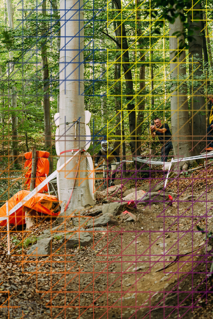 PAE-2315 | Einzigartige Fotokunst für dein Zuhause: Entdecke hochwertige Wandbilder, edle Prints und emotionale Motive von Wildlife, Natur und Landschaften - Realisiert mit Pictrs.com