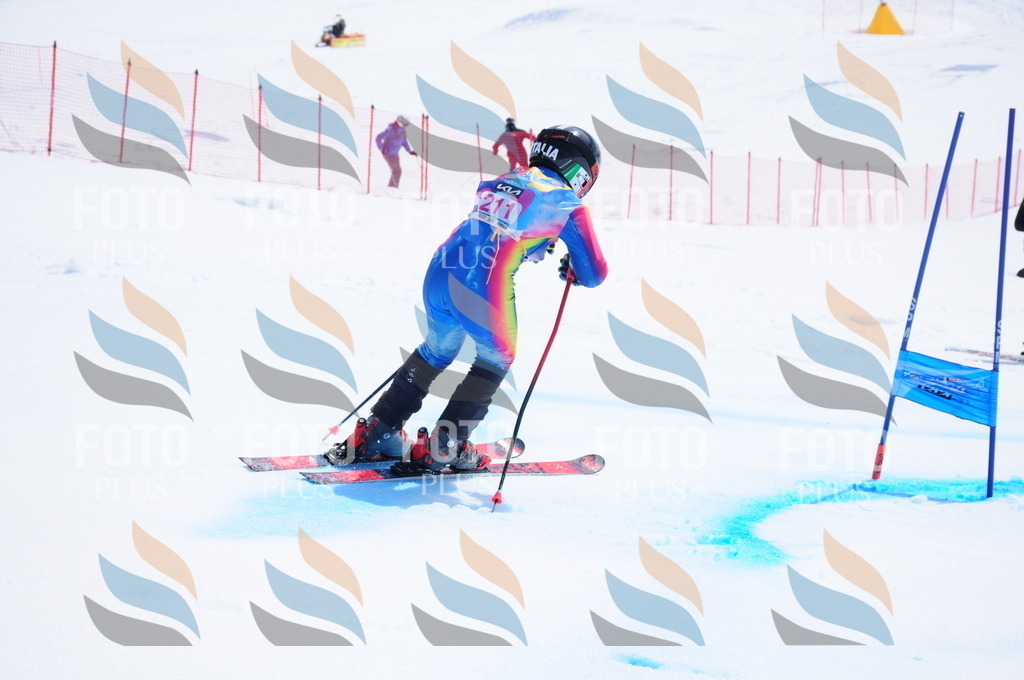 DSC_5873 | holidayphoto