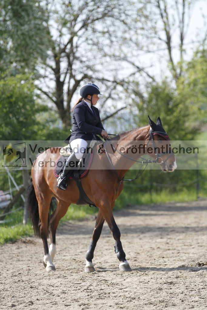 _MG_9056 | equestrian-live-com