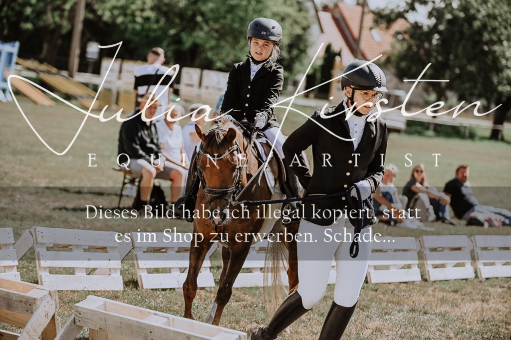 DSC_7891 | Pferde- und Turnierfotografie in Westsachsen. Pferdeportraits, Auftragszeichnungen und intuitive Kunst.