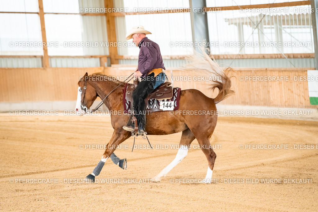 DSC01601 | Pferdegrafie