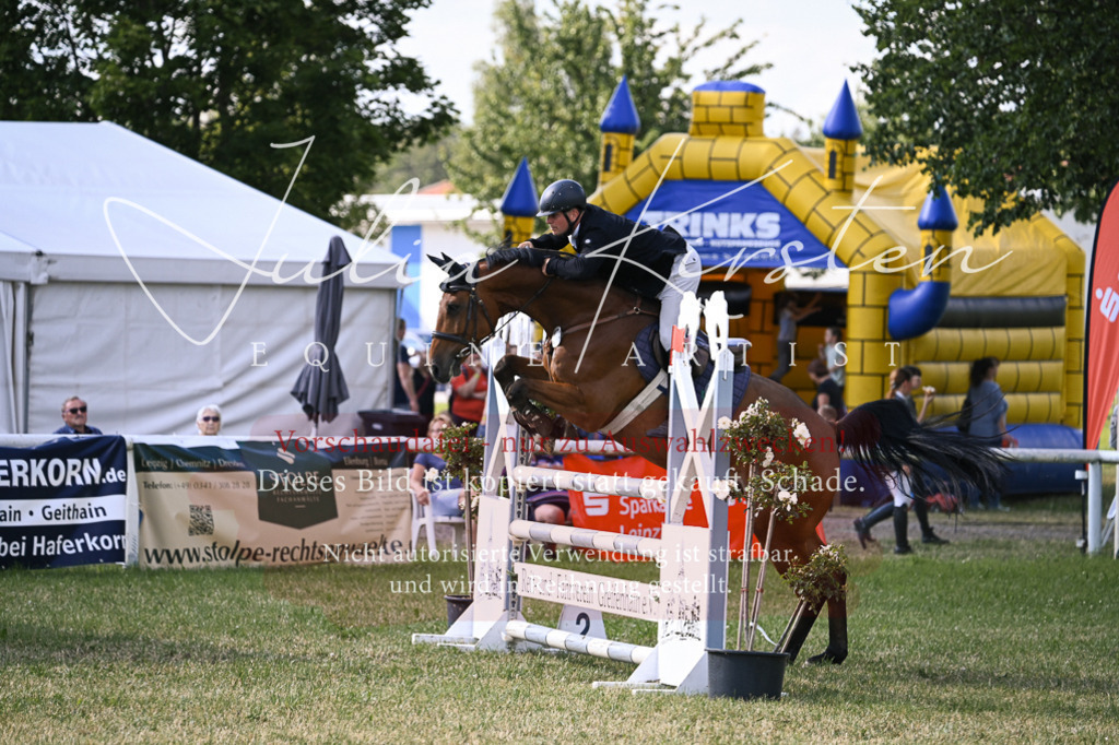 DSC_1075 | Pferde- und Turnierfotografie in Westsachsen. Pferdeportraits, Auftragszeichnungen und intuitive Kunst.