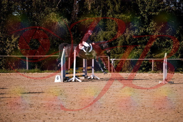 2026_10_03_Siefer-Hof_155001_Z81_69010967 | Professionelle Reitsport-, Turnier- und Eventfotografie von Robert Broda. Galerien mit ausgewählten und bearbeiteten Bildern direkt online ansehen und bestellen.