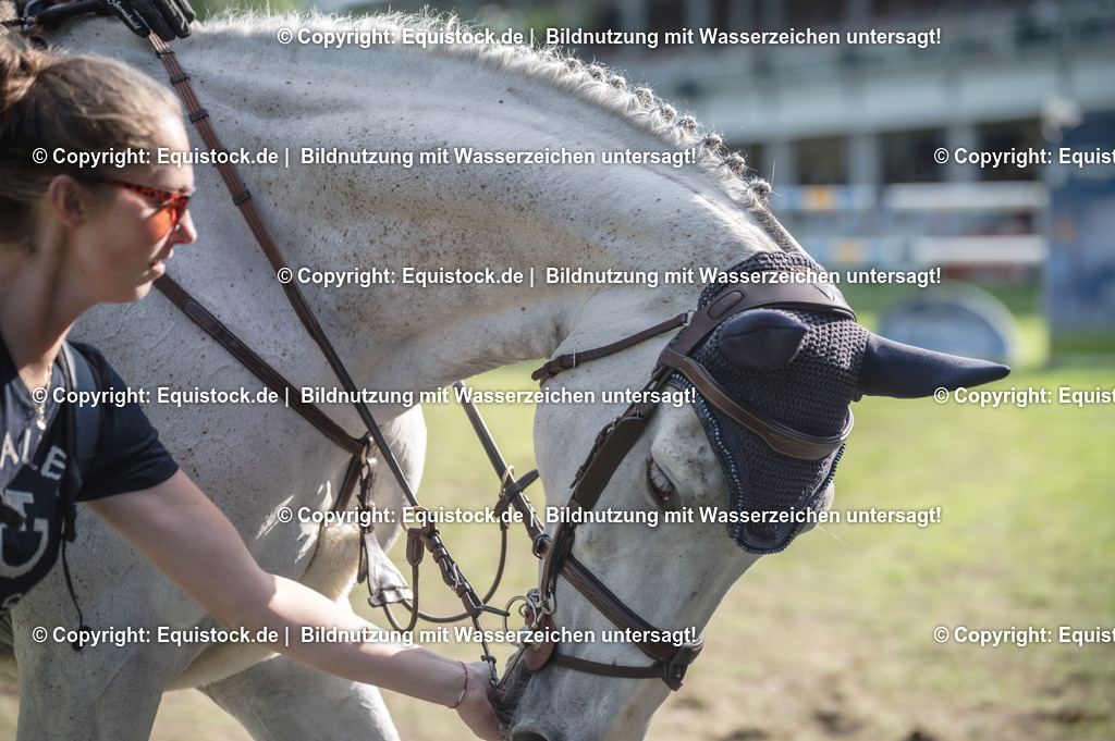 20240520_20_CSI4_Grosser-Preis_0395 | Foto: Thomas Hartig